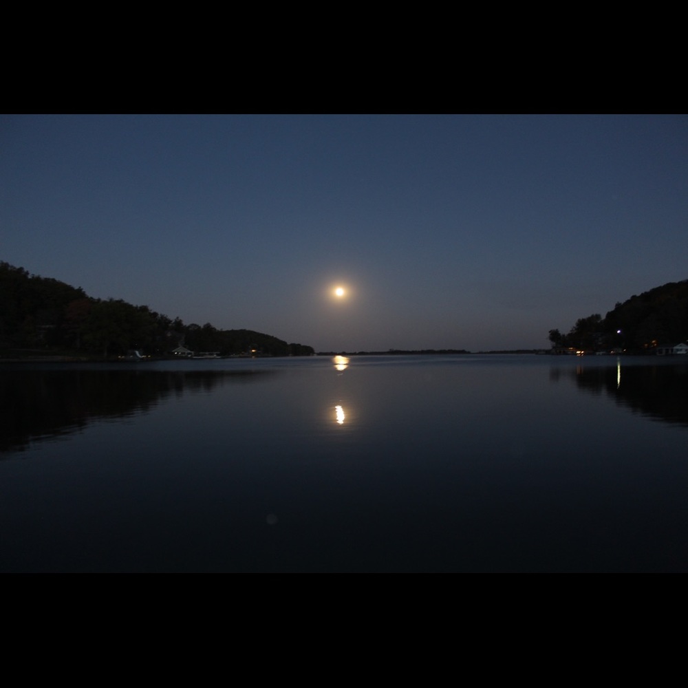 Meet your Posher, Ava